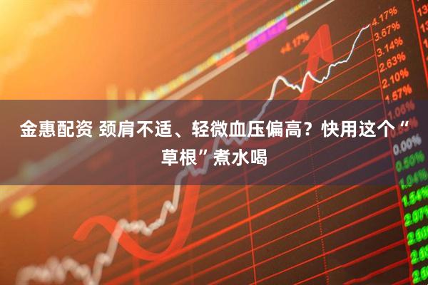 金惠配资 颈肩不适、轻微血压偏高？快用这个“草根”煮水喝