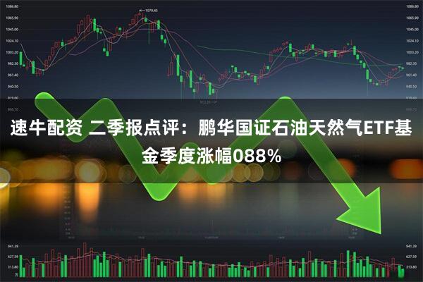 速牛配资 二季报点评：鹏华国证石油天然气ETF基金季度涨幅088%